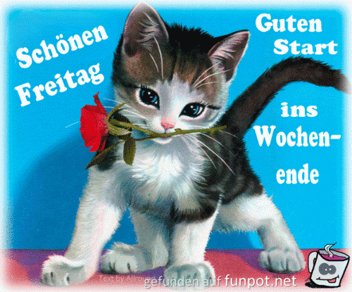 Schones wochenende guten morgen bilder freitag 056