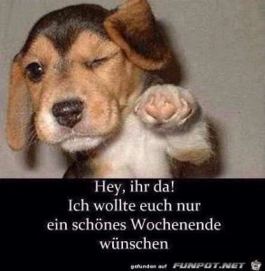 Lustige Bilder und Sprüche für ein schönes Wochenende