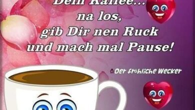 ᐅ Spass Bilder Schönen Nachmittag - Nachmittag GB Pics