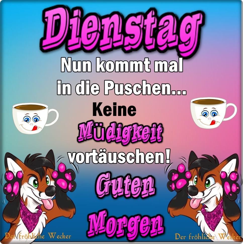 ᐅ sprüche und bilder zum dienstag Dienstag GBPicsHD