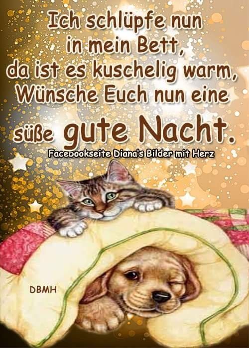 ᐅ Süße gute nacht bilder - Gute Nacht GB Pics Sue gute nacht bilder 002