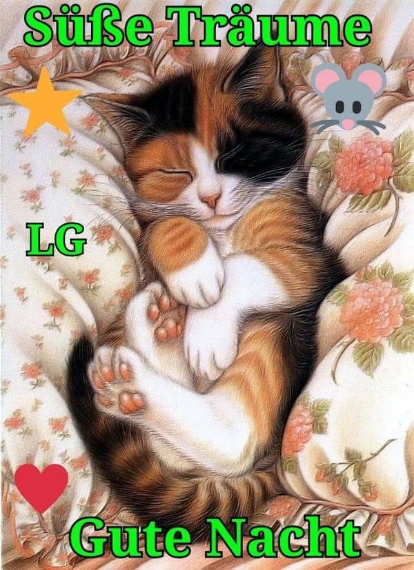 ᐅ Süße gute nacht bilder - Gute Nacht GB Pics Sue gute nacht bilder 005