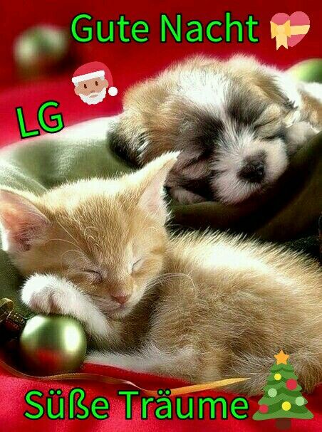 ᐅ Süße gute nacht bilder - Gute Nacht GB Pics Sue gute nacht bilder 017