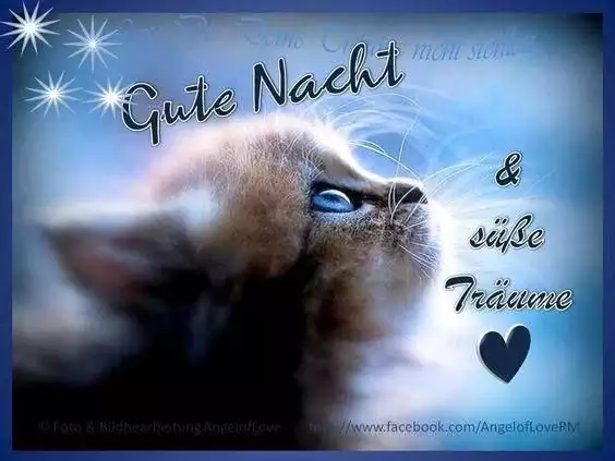 ᐅ Süße gute nacht bilder - Gute Nacht GB Pics Sue gute nacht bilder 020