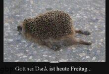 ᐅ gott sei dank freitag - Schönen Abend GB Pics