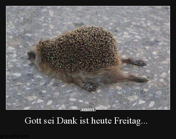 gott sei dank freitag