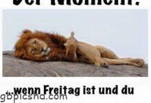 ᐅ urlaub bilder lustig - Guten Morgen GB Pics