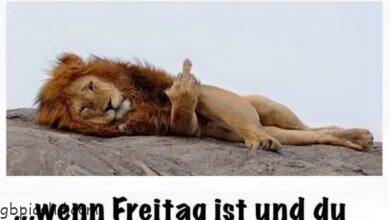 ᐅ urlaub bilder lustig - Urlaub GB Pics