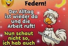 ᐅ verrueckter montag bilder - Guten Morgen GB Pics