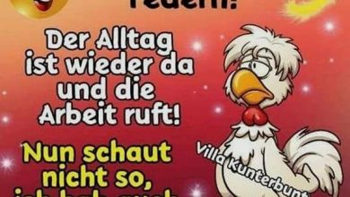 ᐅ verrueckter montag bilder - Montag GB Pics