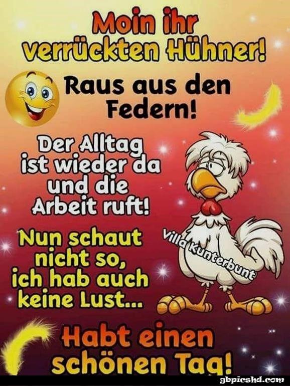 verrueckter montag bilder