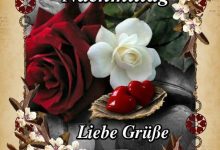 ᐅ Whatsapp Bilder Schöner Nachmittag - GB Pics