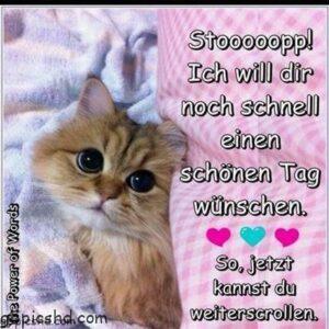 whatsapp schönen tag