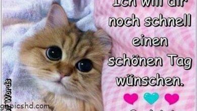 ᐅ whatsapp schönen tag - Schönen Tag GB Pics