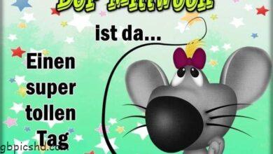 ᐅ witzig guten morgen mittwoch - Mittwoch GB Pics