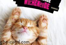 ᐅ wochenende 3 - GB Pics