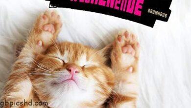 ᐅ wochenende 3 - Wochenende Bilder GB Pics