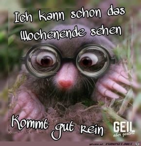 Lustige Sprüche und Bilder fürs Wochenende