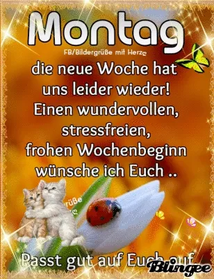 Text mit der Aufschrift "Montag" und Bildern von Katzen und einem Marienkäfer.