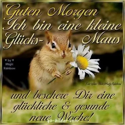 Ein Eichhörnchen hält eine Kamille mit dem Text „Guten Morgen“ und Glückwünsche.