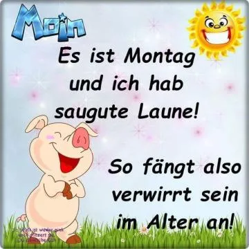 Ein grinsendes Schwein sagt "Moin" und spricht über seine Montag-Laune. Sonnenschein im Hintergrund.
