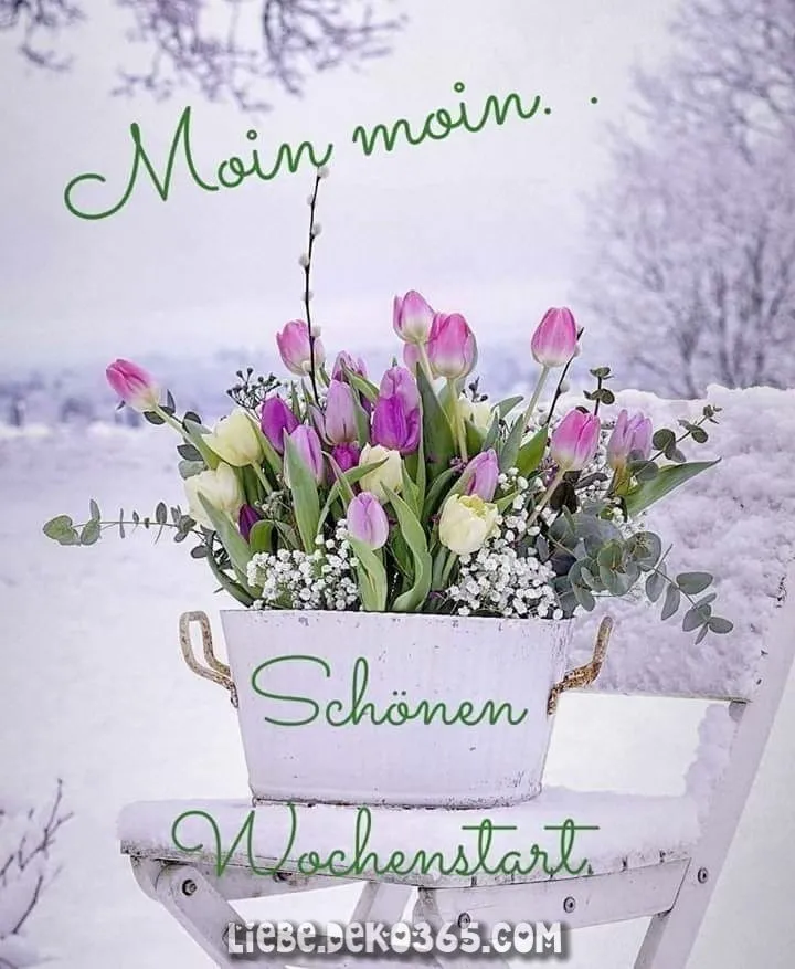 Ein weißer Korb mit bunten Tulpen und frischen Pflanzen steht im Schnee.