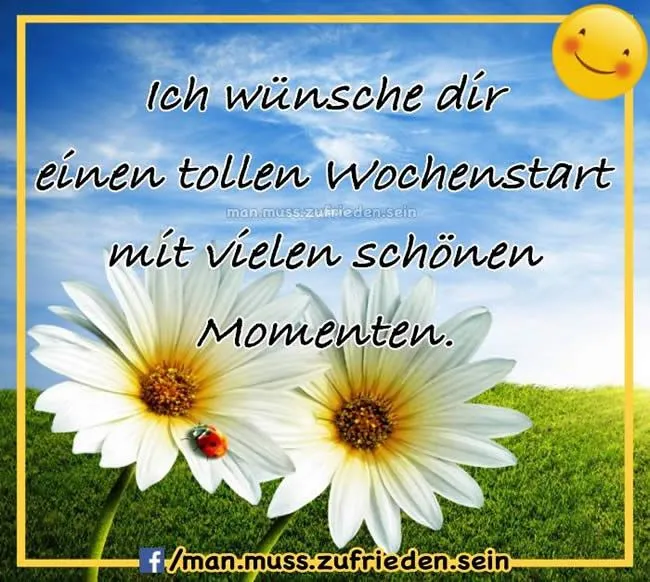 Hintergrund mit blauen Himmel und Wiese, weiße Blumen, Text über Wochenstart und schöne Momente.