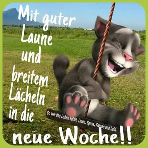 Katzenfigur auf einer Schaukel, die lächelt, mit einem Spruch zur neuen Woche.