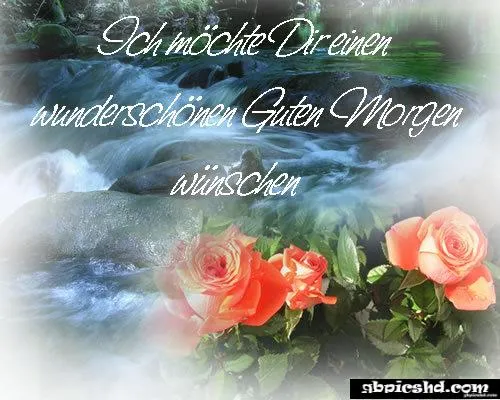 Ein Wasserfall mit Rosen im Vordergrund und dem Text "Guten Morgen".
