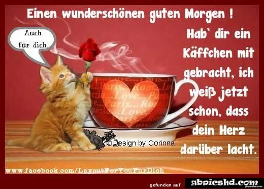 Katzenjunges hält eine Rose vor einer Tasse Kaffee mit einem romantischen Spruch.