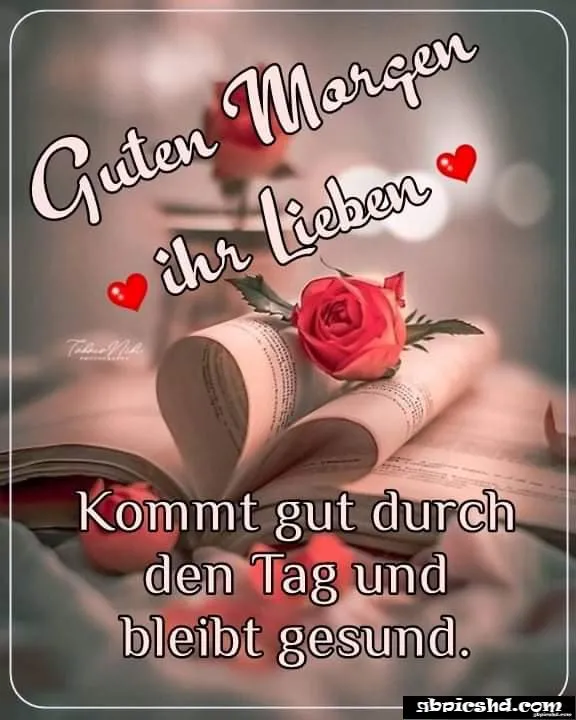 Ein aufgeschlagenes Buch mit einer roten Rose und dem Text „Guten Morgen ihr Lieben“.