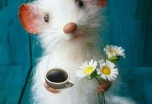 ᐅ wunderschönen guten morgen maus - Guten Morgen GB Pics