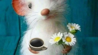 ᐅ wunderschönen guten morgen maus - Guten Morgen GB Pics