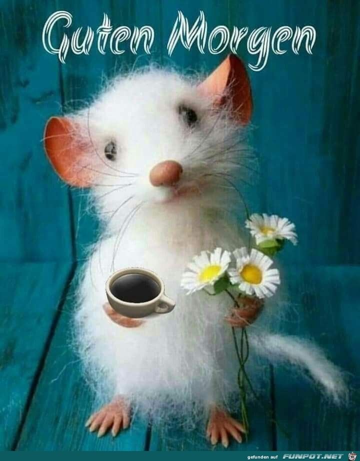 Wunderschonen guten morgen maus 001