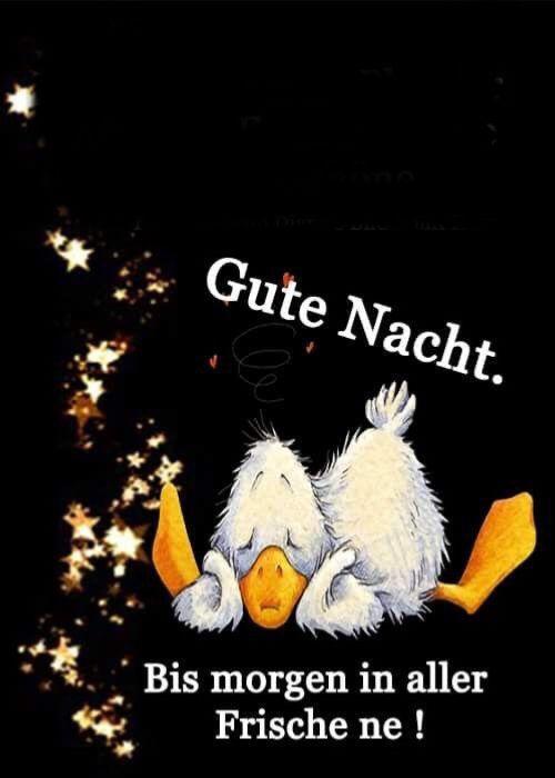 ᐅ gute nach und bis morgen - Guten Morgen GB Pics gute nach und bis morgen