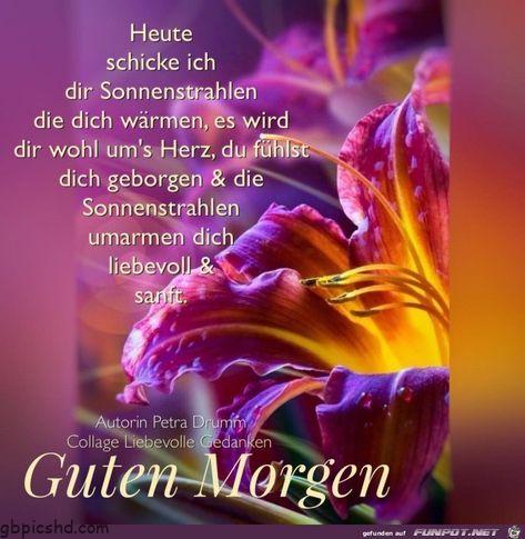ᐅ guten morgen meine liebe tochter - Guten Morgen GB Pics 28040 2 001
