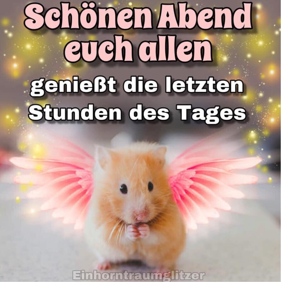 Bilder schonen abend 001