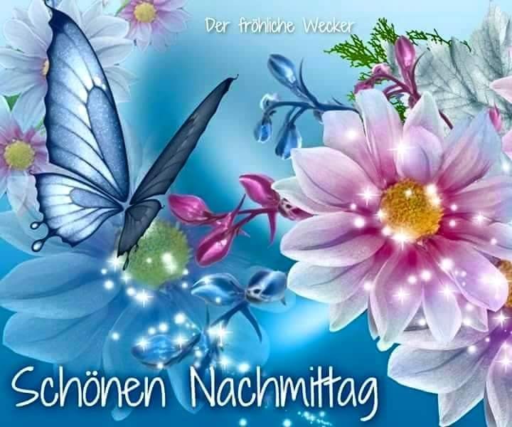 Bilder schonen nachmittag kostenlos 001