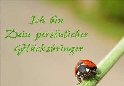 ᐅ bilder zur bestandenen prüfung kostenlos - Prüfung GB Pics Bilder zur bestandenen prufung kostenlos 015