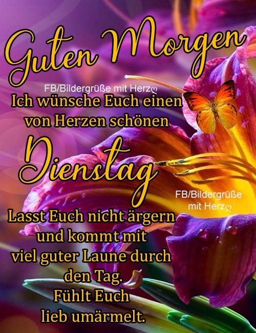 Dienstag Bilder Facebook Regenbogen