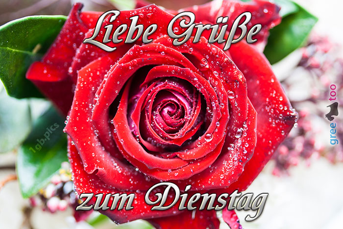 Dienstag Bilder Facebook Ballons