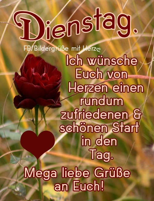 Dienstag Bilder Facebook Tee