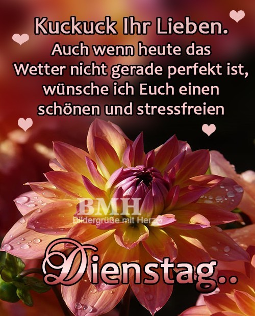 ᐅ dienstag gb pics - Dienstag GB Pics dienstag gb pics