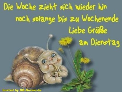 Dienstag morgen grue bilder 014