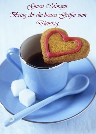 Dienstag morgen grue bilder 026