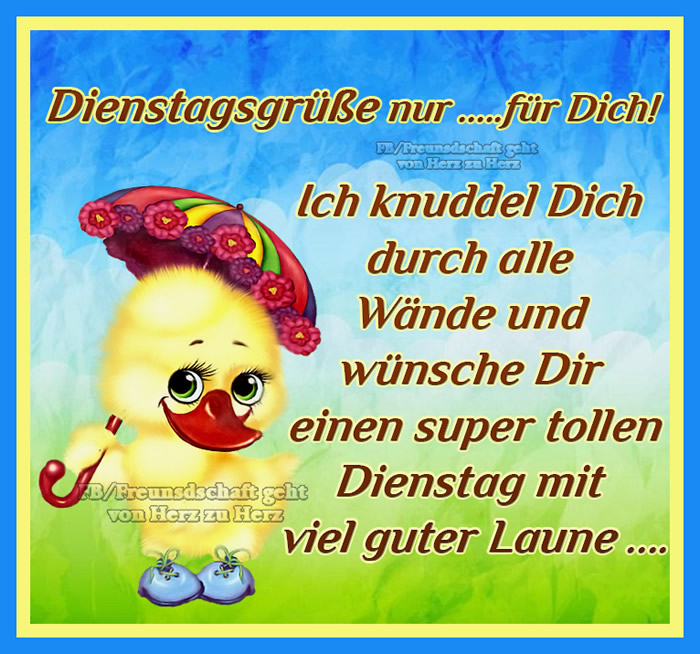 Dienstag morgen grue bilder 027