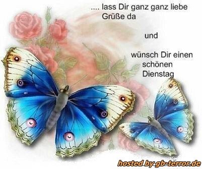 Dienstag morgen grue bilder 030