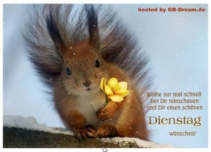 Dienstag morgen grue bilder 031