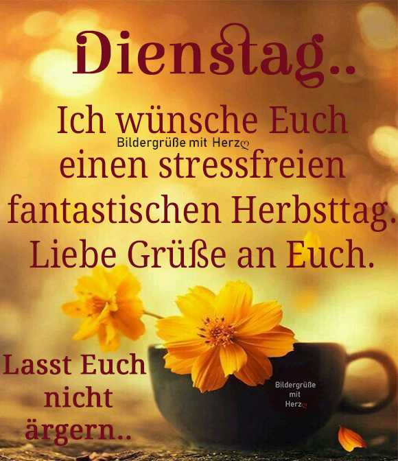 Dienstag morgen grue bilder 032