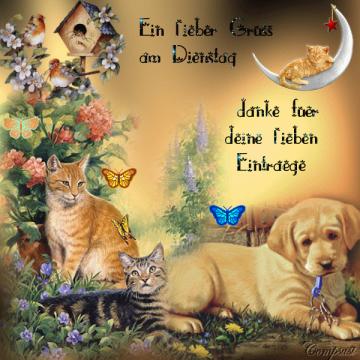 Dienstag morgen grue bilder 033